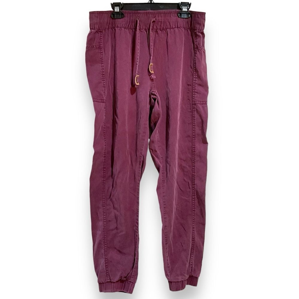 TENTREE Colwood Purple Tencell Eco Sustainable Outdoorsy Jogger Pants Size S